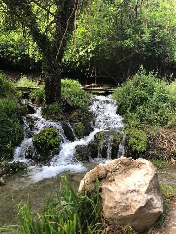El Almendro De Fuentes Nuevas Villa Castril